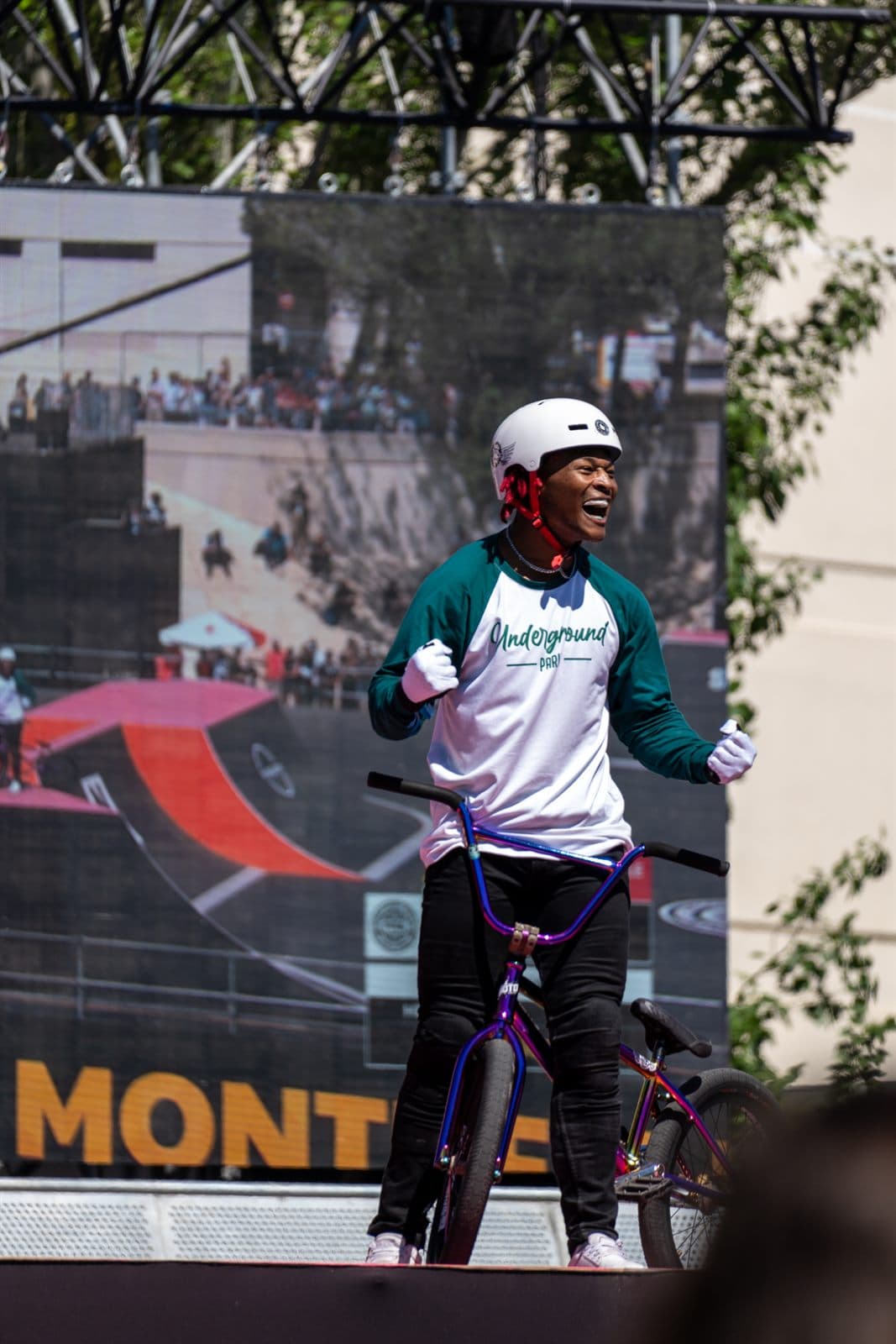 Fise 13