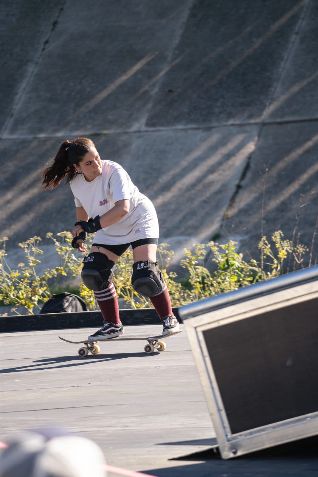 Fise 19