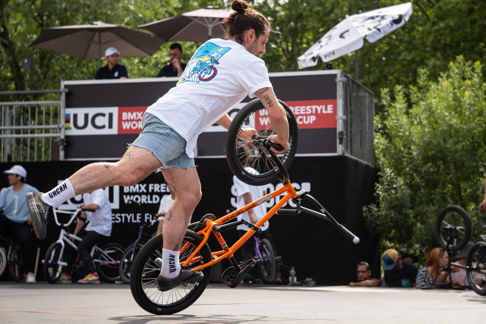 Fise 24