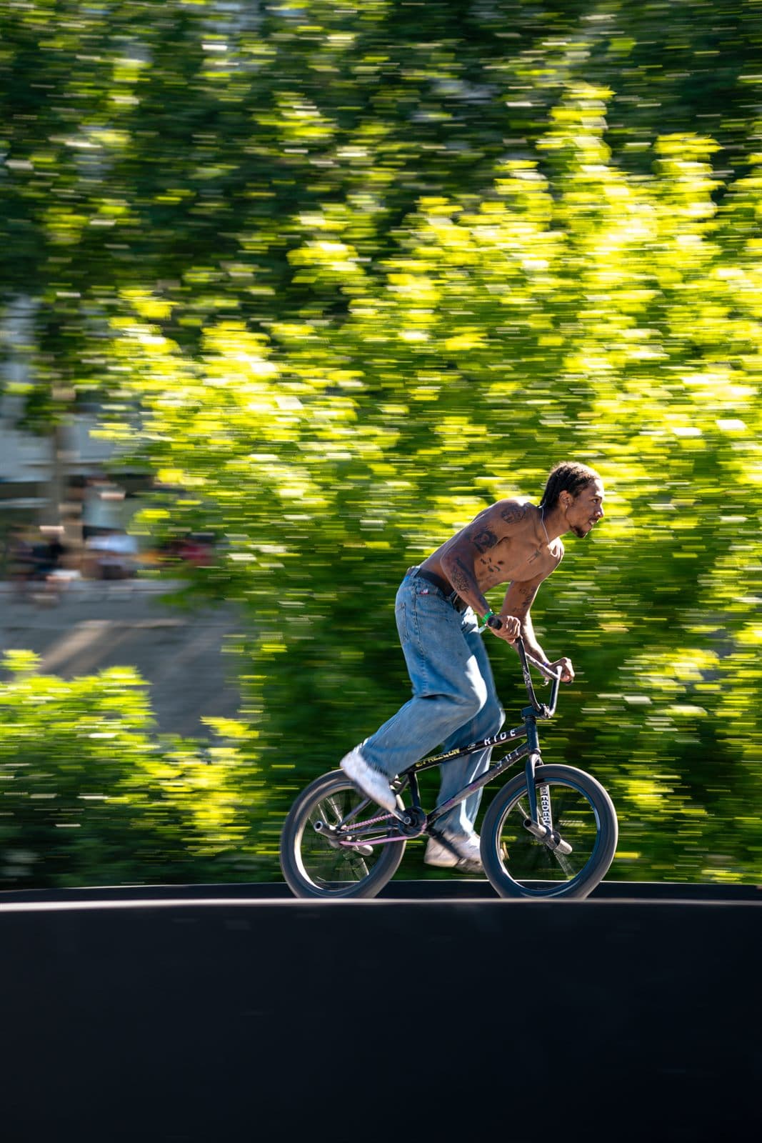 Fise 31