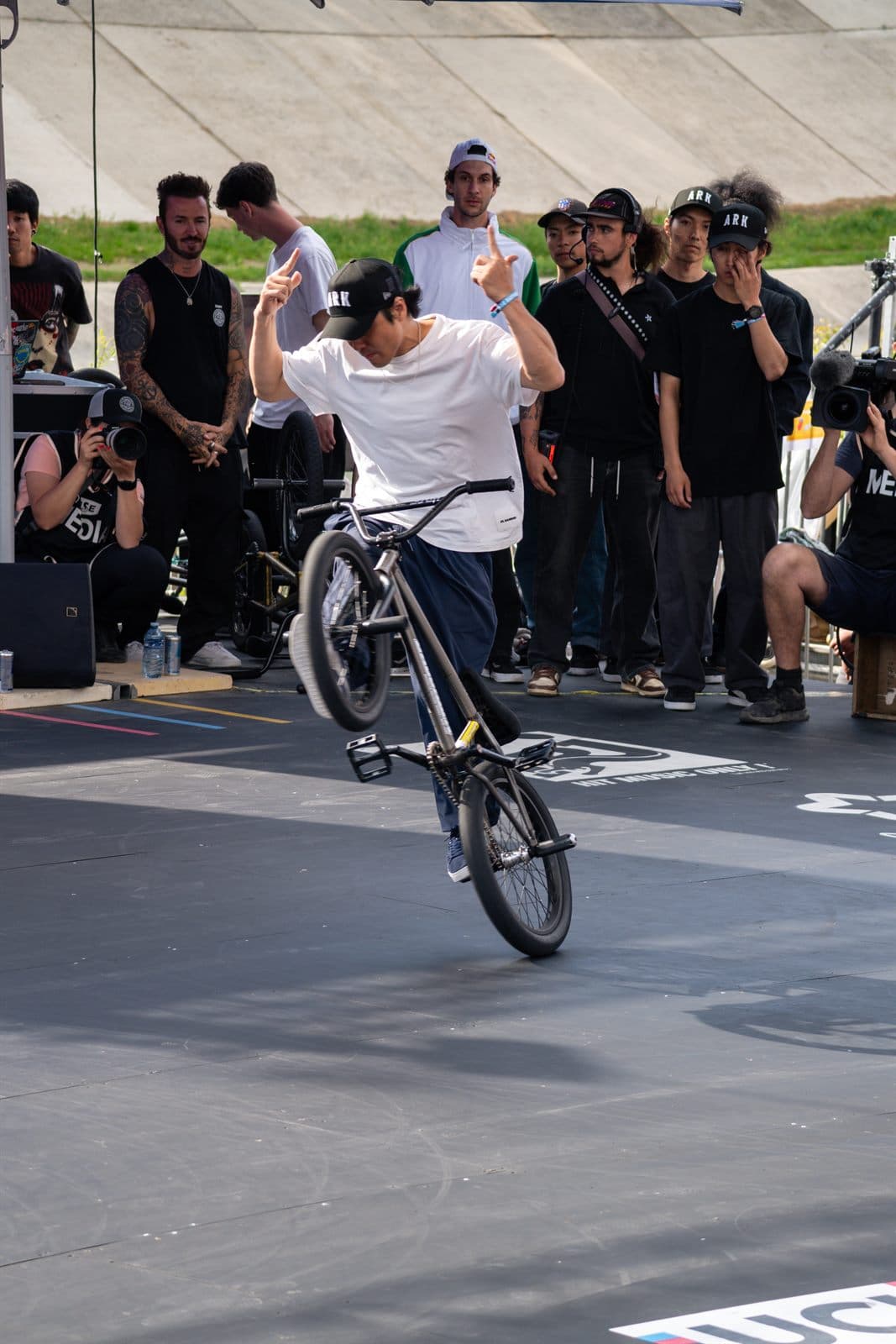 Fise 41